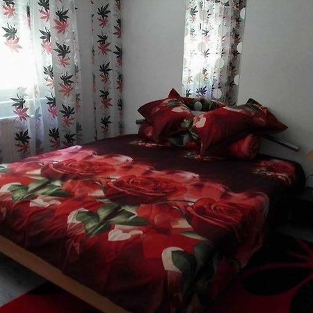 Apartament Ela Elegance Appartement Orşova Buitenkant foto