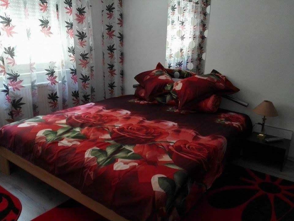 Apartament Ela Elegance Appartement Orşova Buitenkant foto